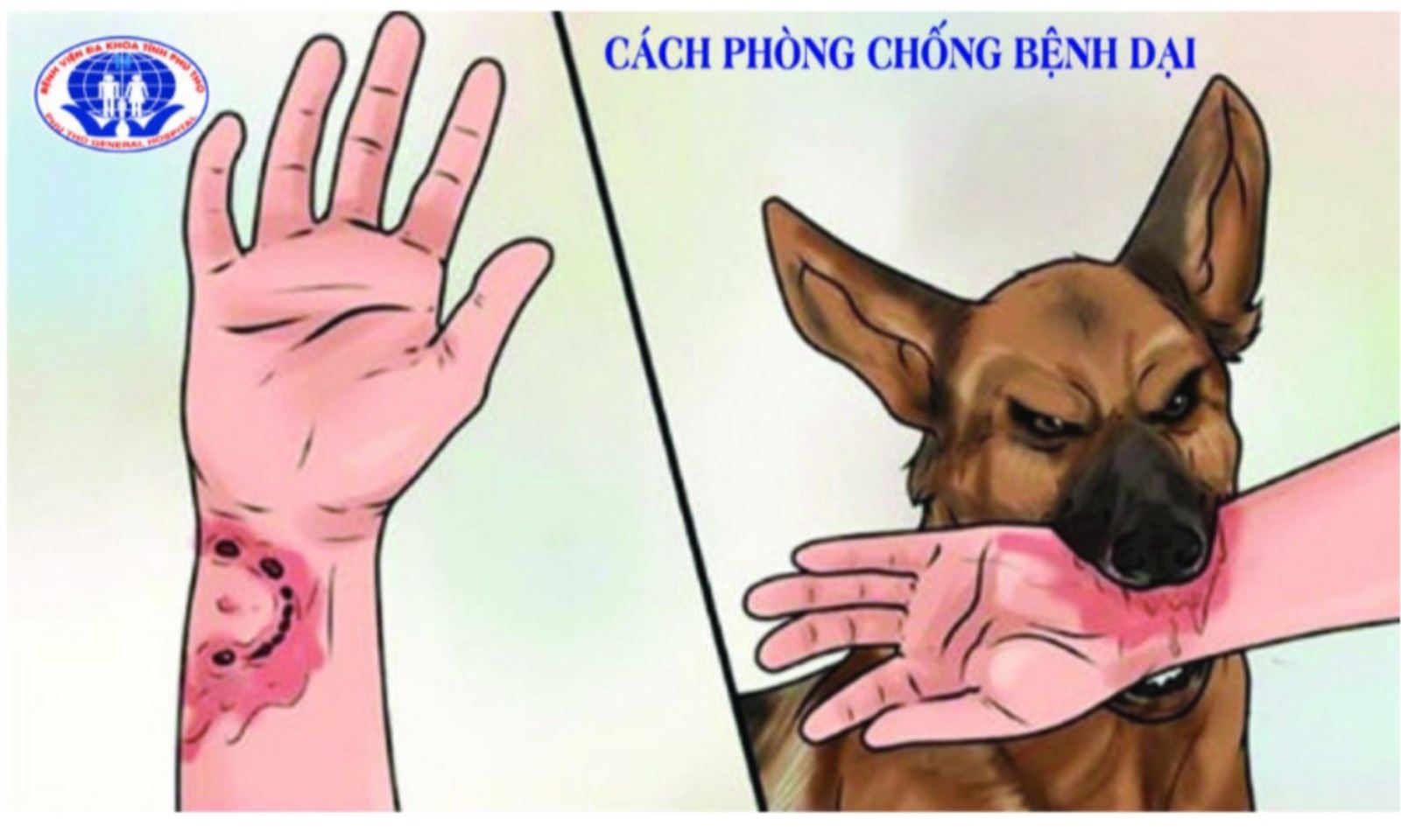 BÀI TUYÊN TRUYỀN VỀ CÁCH PHÒNG CHỐNG BỆNH DẠI