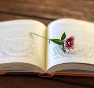 GIỚI THIỆU DANH MỤC SÁCH THAM KHẢO MỚI NĂM HỌC 2024-2025